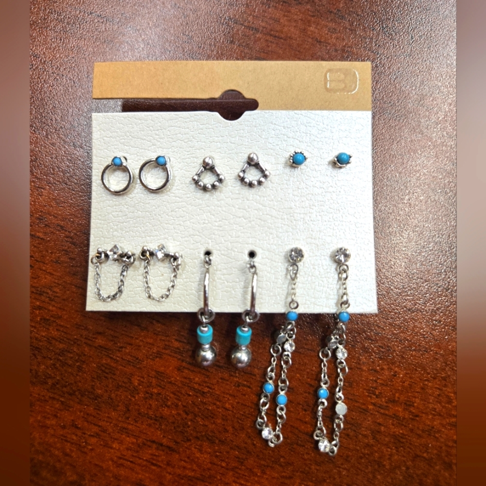 Silver and Blue Earring Set